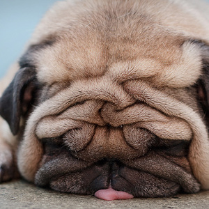 Fundraising Page: Noel Rataichek